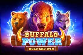 Buffalo Power: Hold and Win Mobile